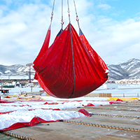 Snø tarps